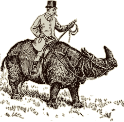 Historische Zeichnung eines Mannes der ein Nashorn reitet